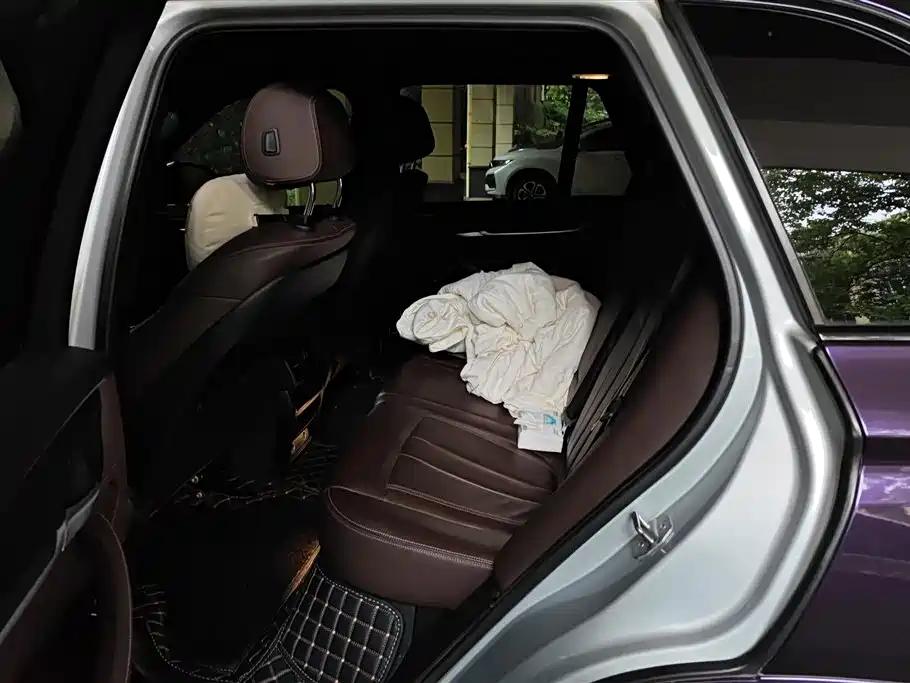 BMW X5 (Import) 2017 xDrive35i M Luxury Sport фото 11
