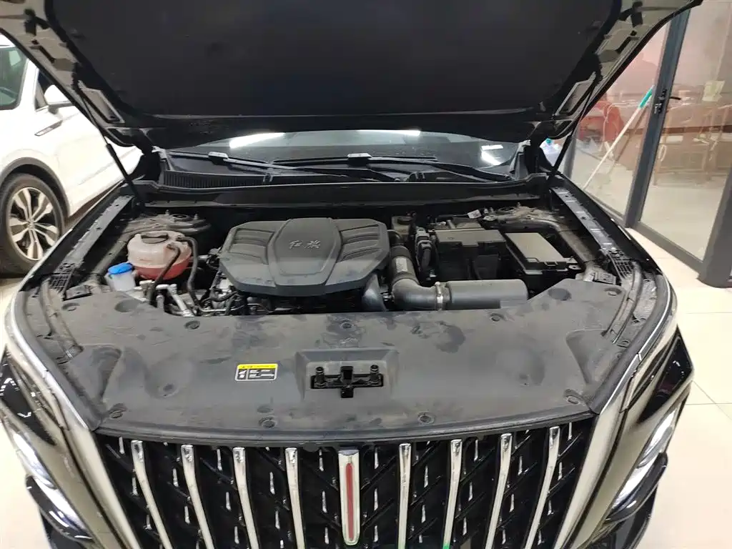 Hongqi HS5 2025 2.0T 2WD Qixiang Pro фото 16