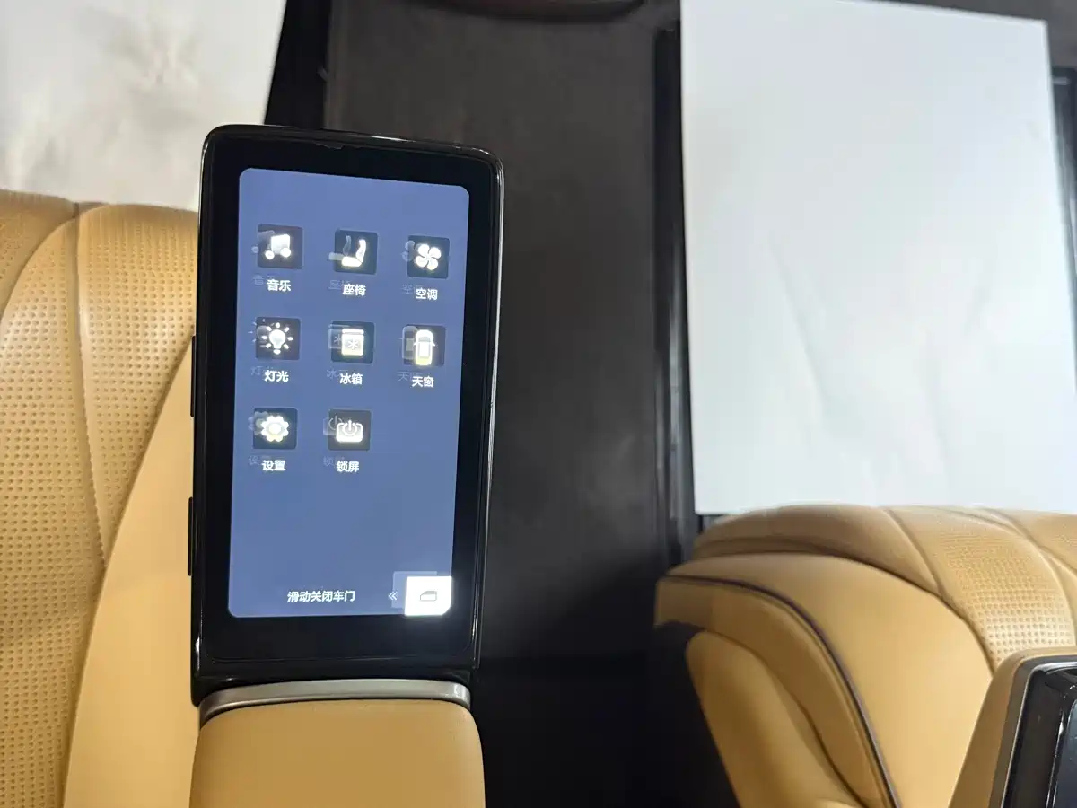 Denza D9 2024 DM-i 1050 Premium фото 9