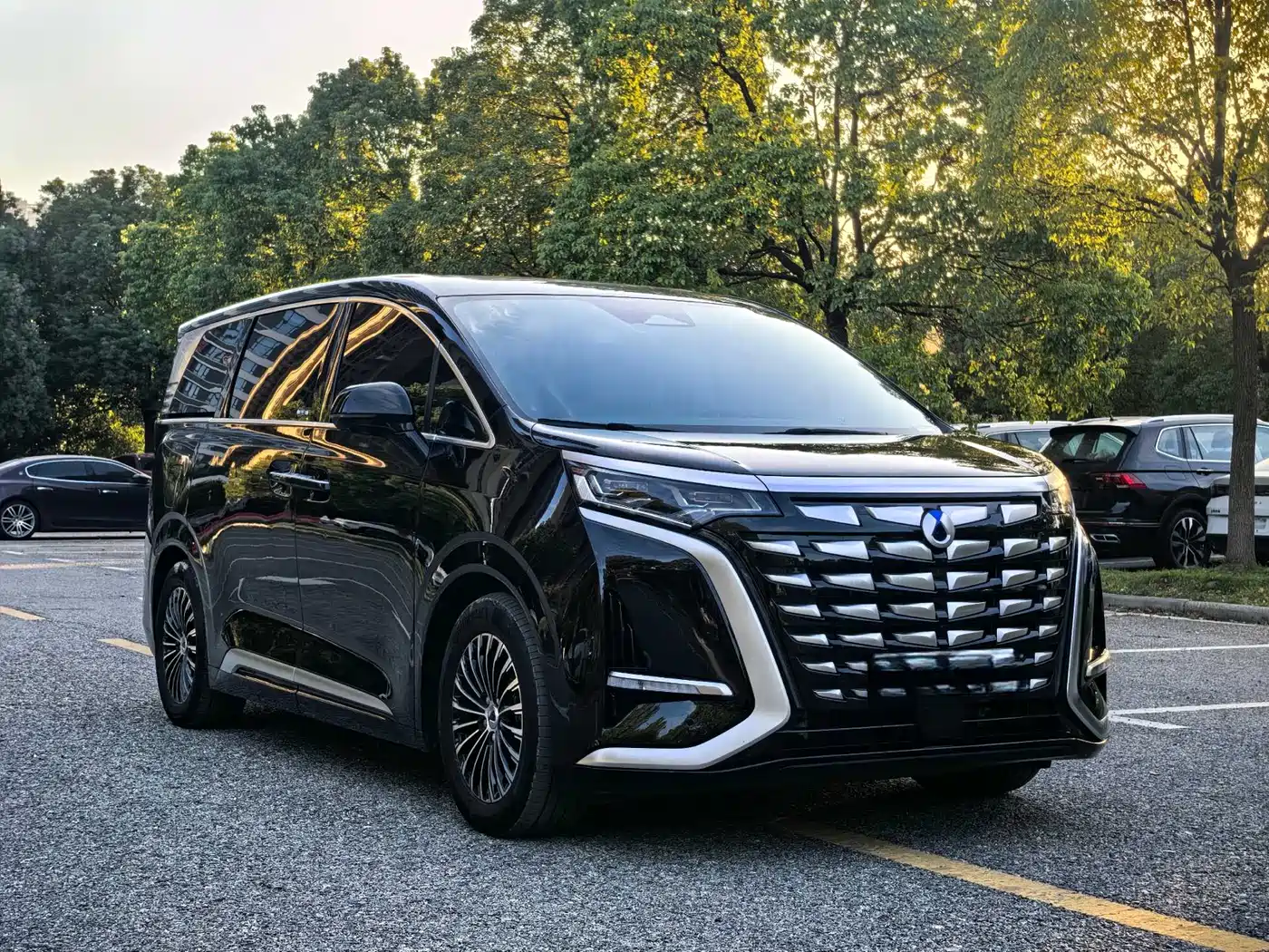 Denza D9 2024 DM-i 980 AWD Prestige фото 3