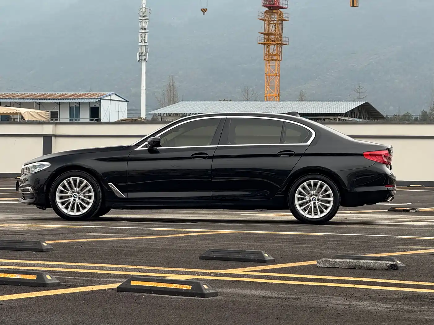 BMW 5 Series 2020 530Li Leading Luxury Package фото 4