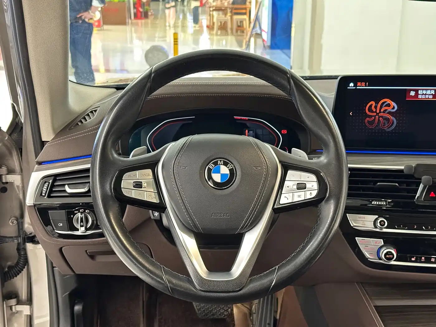 BMW 5 Series 2021 530Li Leading Luxury Package фото 16