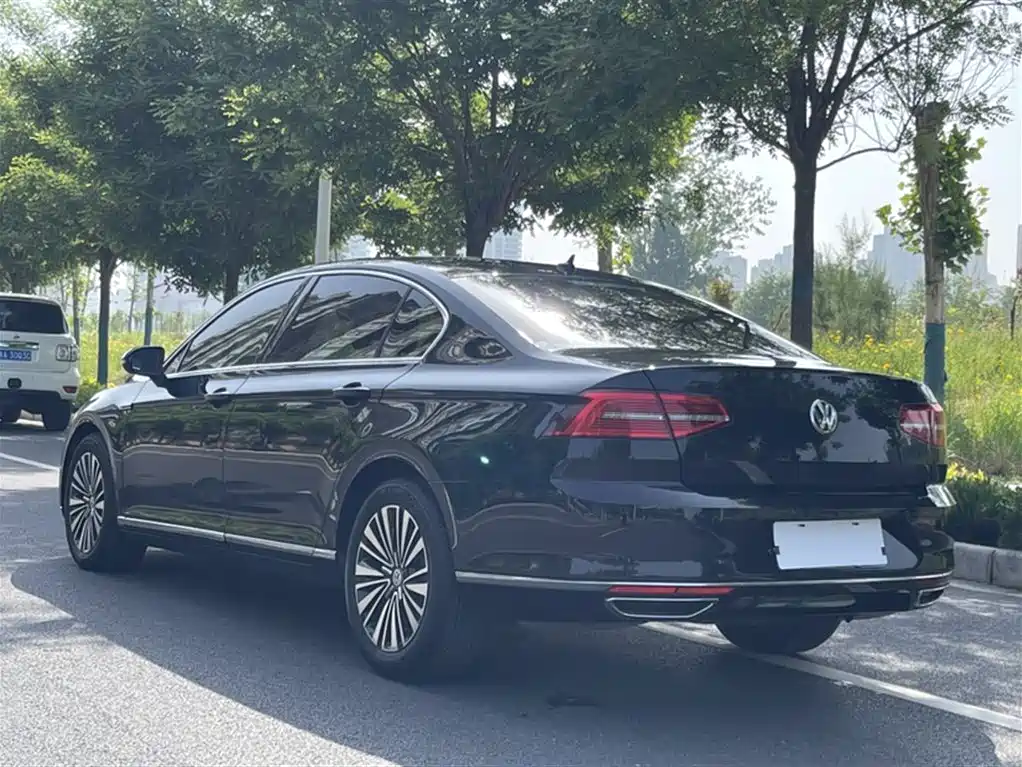 Volkswagen Magotan 2019 330TSI DSG Luxury China V фото 14