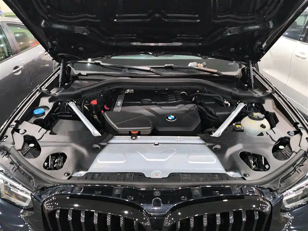 BMW X3 2022 xDrive30i Leading M Night Package фото 20