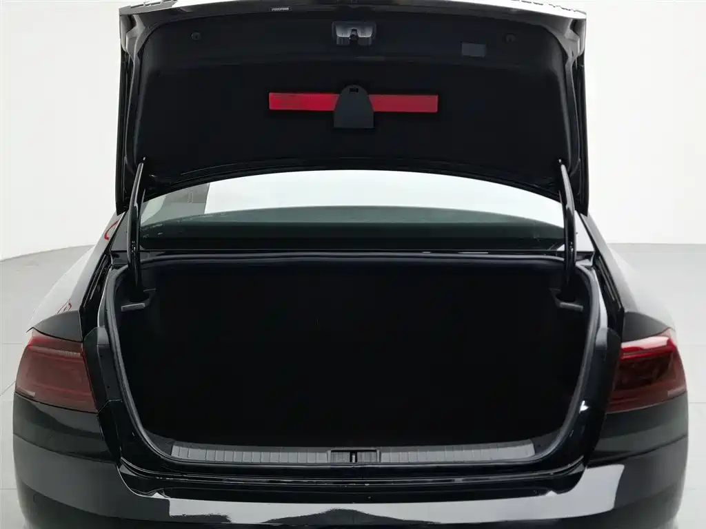 Volkswagen Magotan 2023 2 Million Units Commemorative Edition 280TSI DSG Comfort фото 16