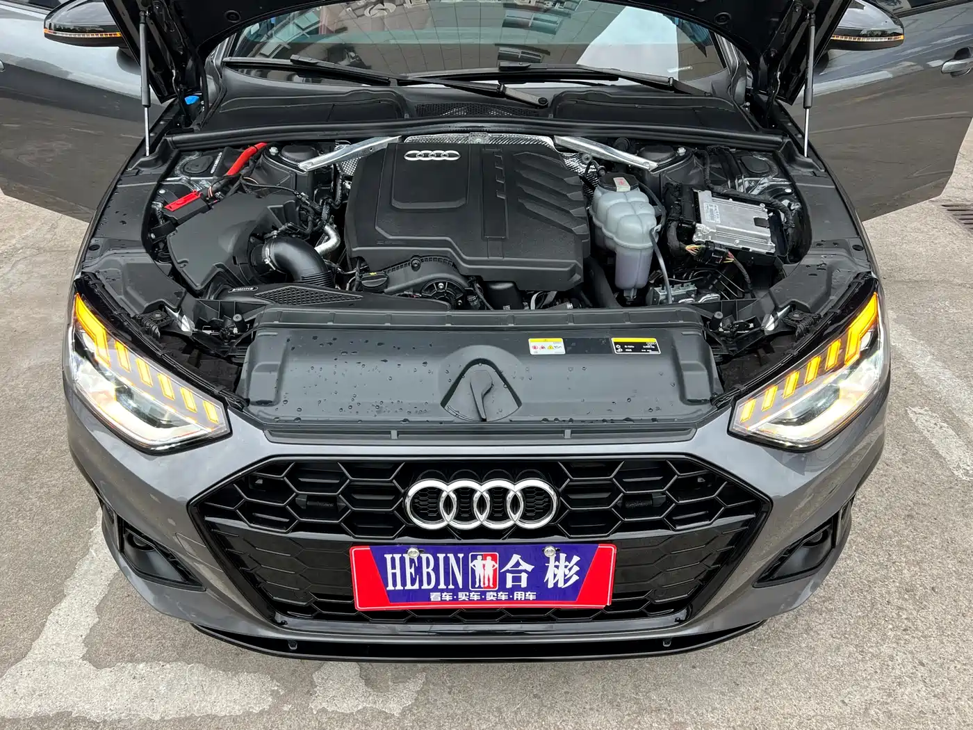 Audi A4L 2024 40 TFSI Luxury Dynamic фото 15