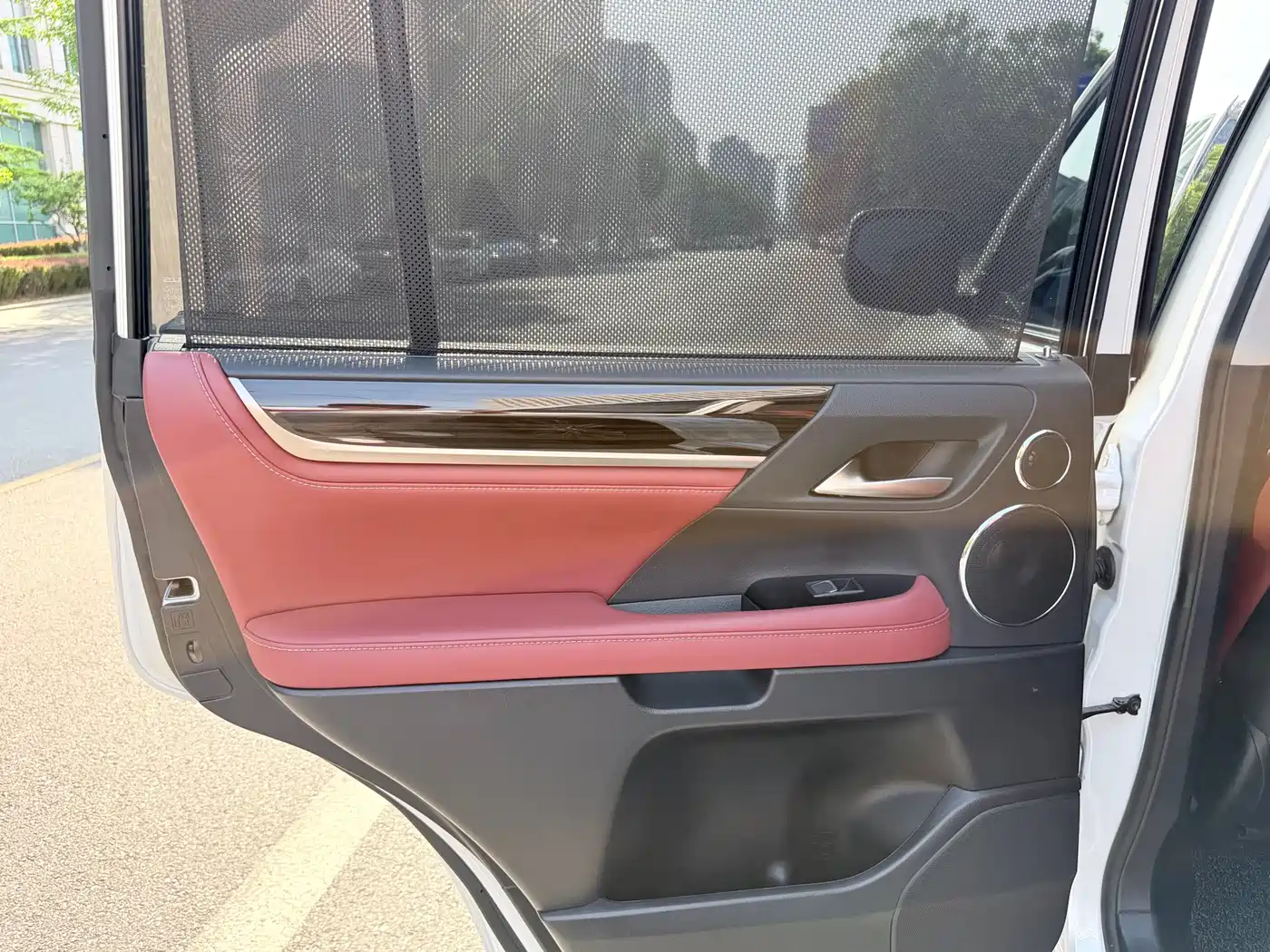 Lexus LX 2019 570 Prestige Luxury Edition фото 12