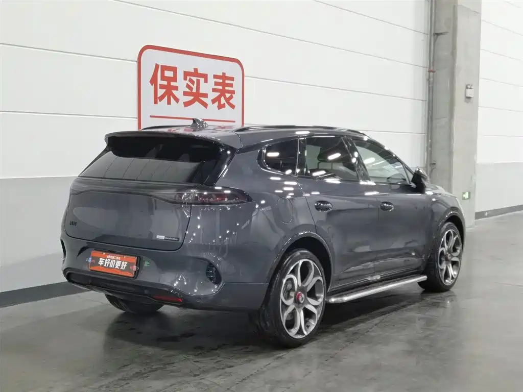 Denza X 2020 PHEV Sport Edition фото 2