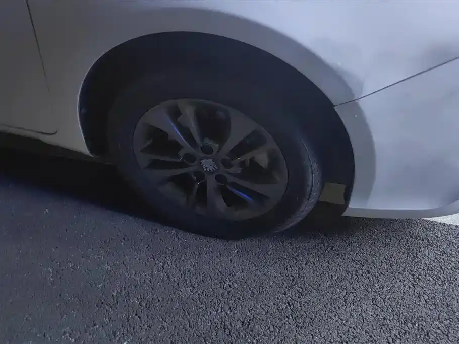 BYD Qin New Energy 2017 1.5T Premium Model фото 6