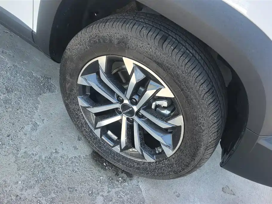 Haval Big Dog 2024 1.5T DCT Border Collie Edition фото 6