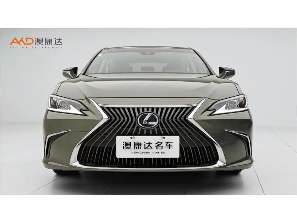 Lexus ES 2020 200 Luxury фото 2