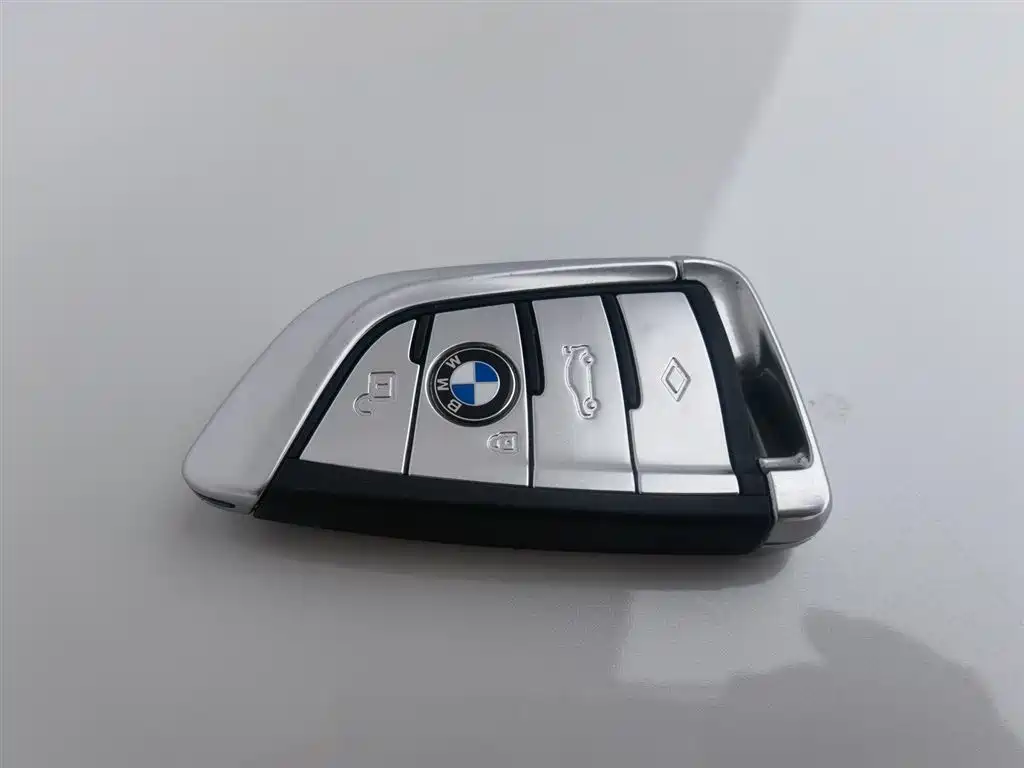 BMW 5 Series 2020 530Li Leading M Sport Package фото 19