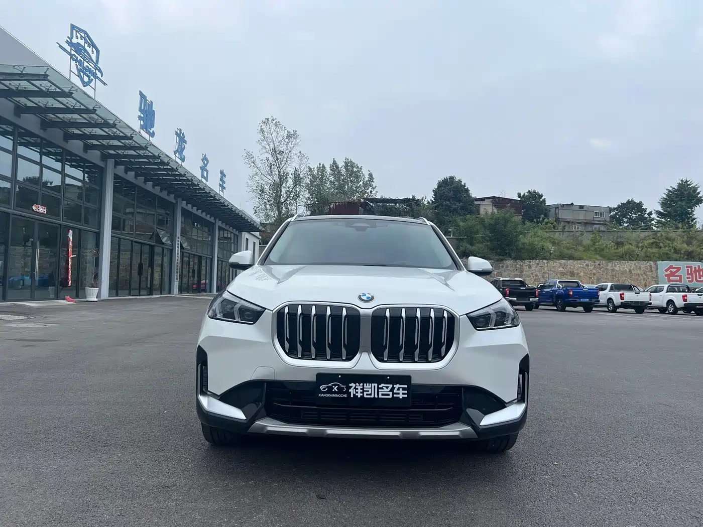 BMW X1 2025 2025 sDrive25Li X Design Package