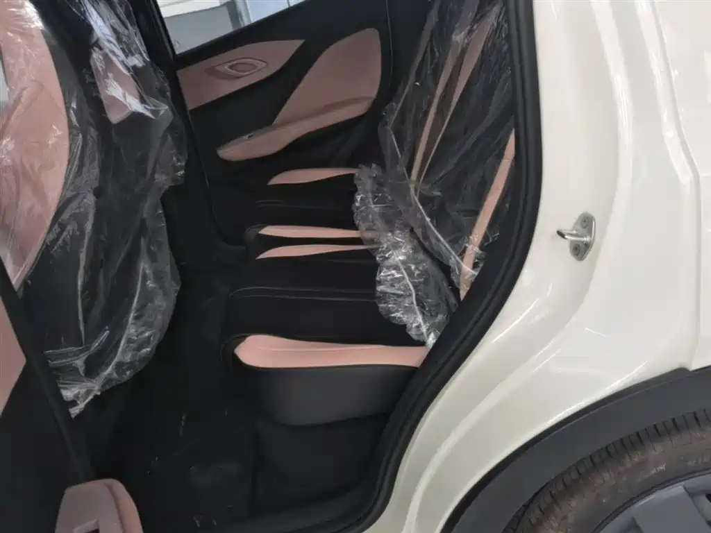 BYD Seagull 2025 Smart Drive Edition 305km Vitality Version фото 17