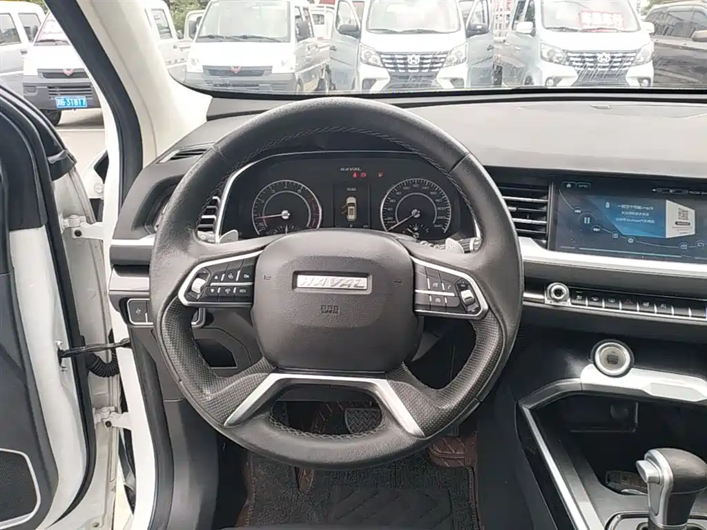 Haval H6 2018 Blue Label 1.5T Automatic Luxury фото 11