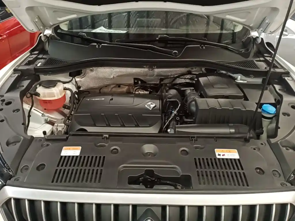 Borgward BX5 2021 2020 20TGDI Automatic 2WD Pioneer Edition