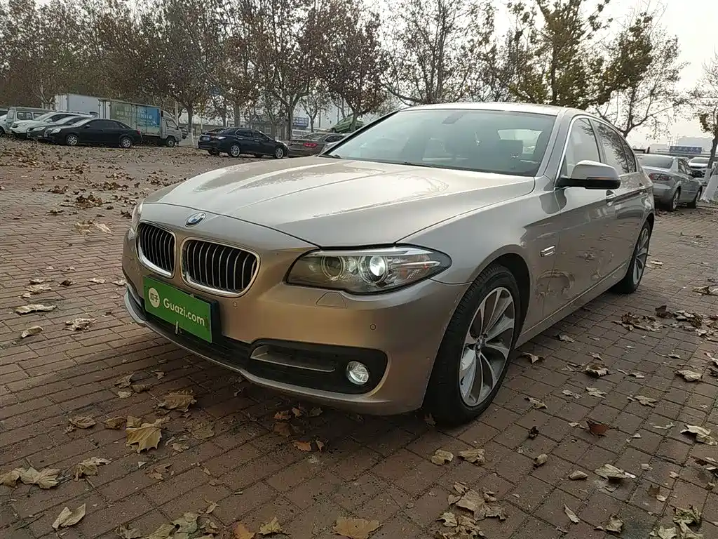 BMW 5 Series 2017 528Li Leading Edition