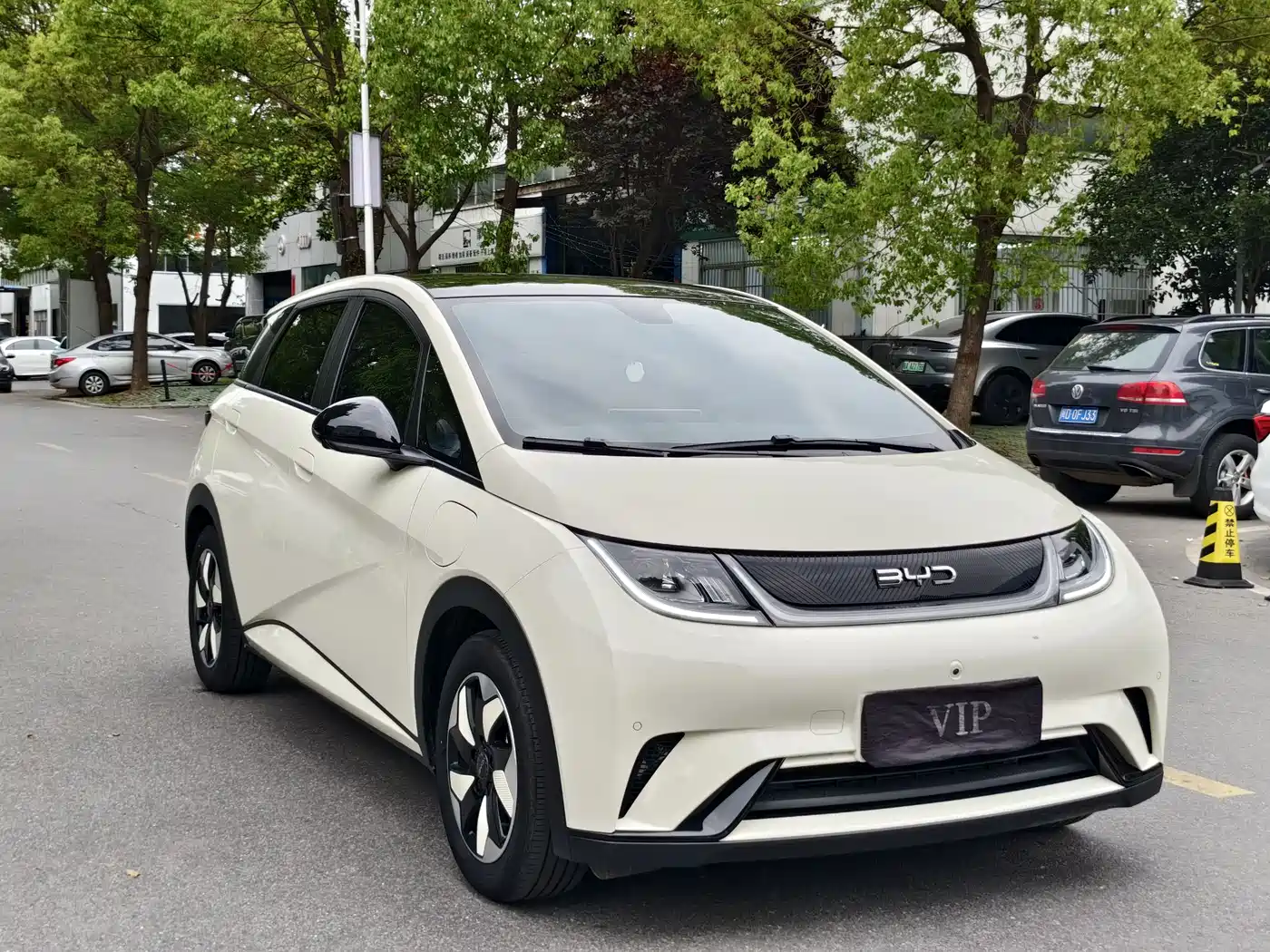 BYD Dolphin 2025 420km Fashion Edition фото 3