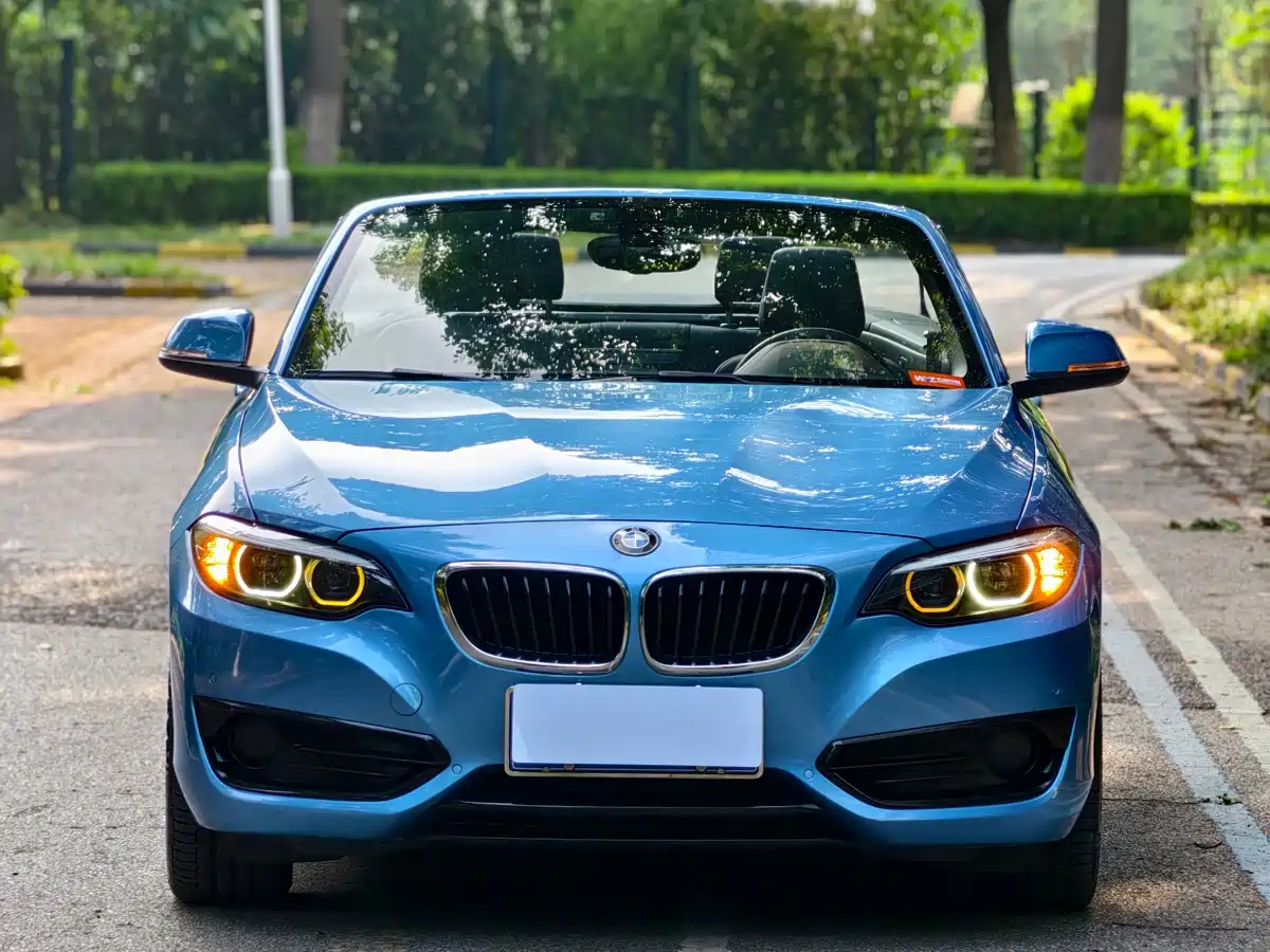 BMW 2 Series (Import) 2018 220i Convertible Coupe Sport Design Package фото 2