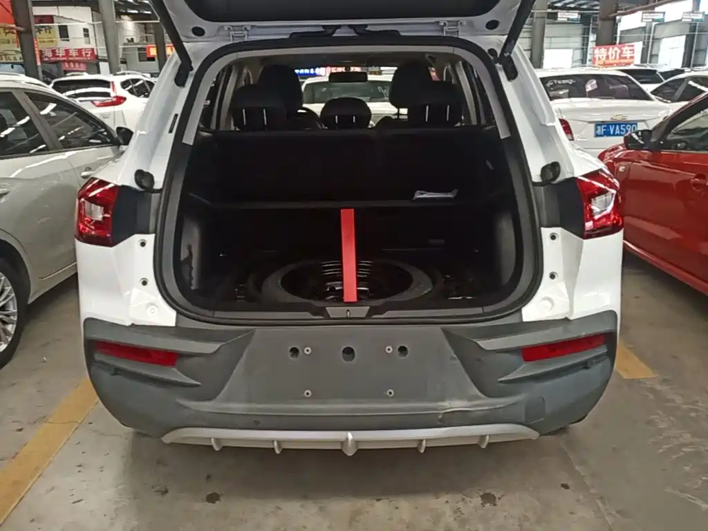 Borgward BX5 2021 2020 20TGDI Automatic 2WD Pioneer Edition