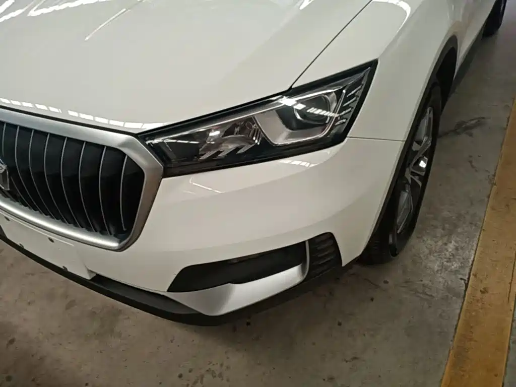 Borgward BX5 2021 2020 20TGDI Automatic 2WD Pioneer Edition