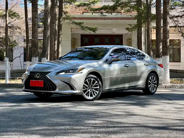 Lexus ES 2024 200 Premium Edition