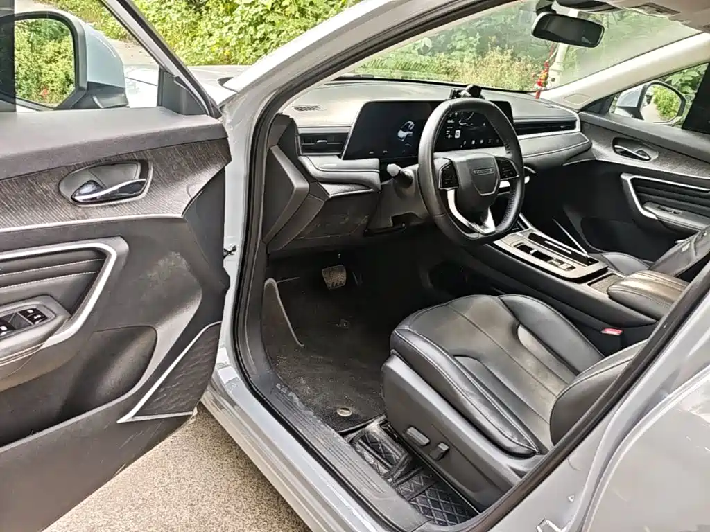 Venucia DaV DD-i 2023 2023 110km iE Edition