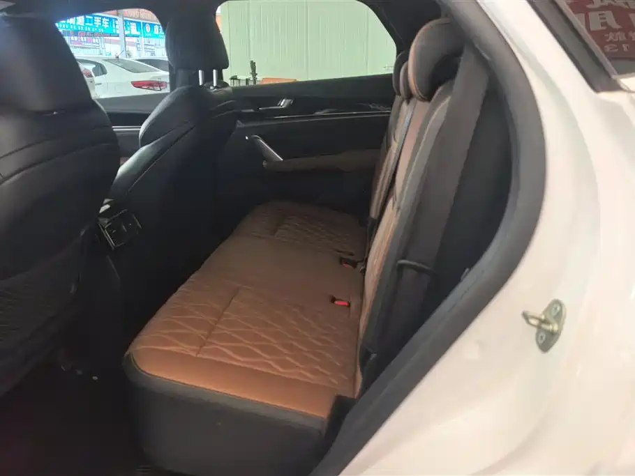 BYD Tang New Energy 2021 DM-i 112KM Premium фото 11