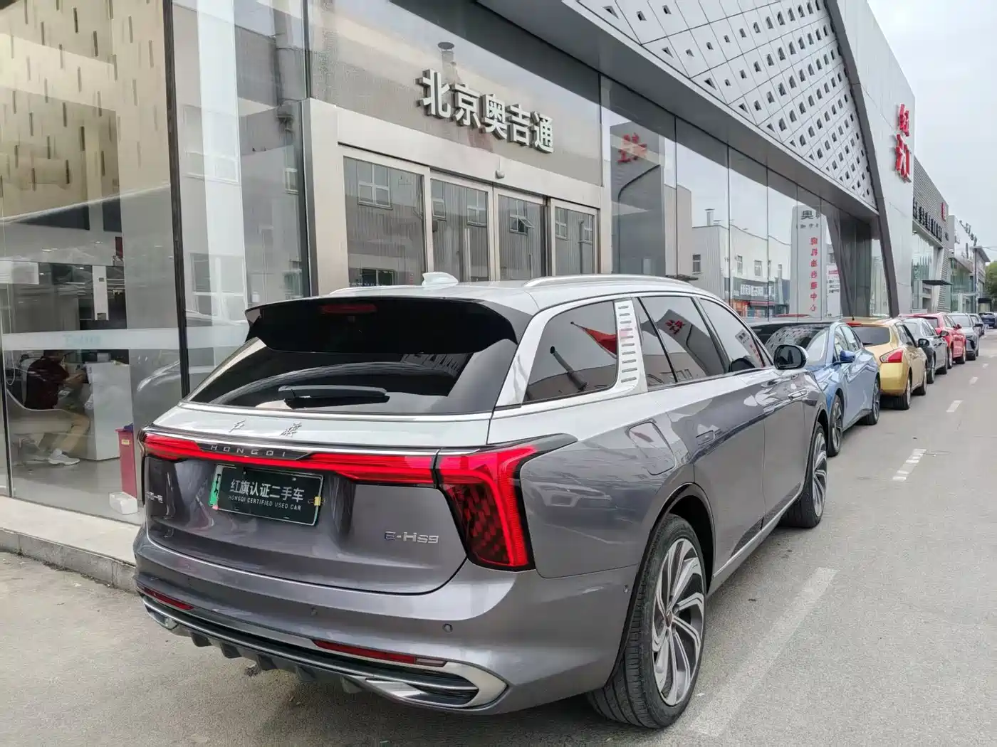 Hongqi E-HS9 2022 660km Qi Ling Edition (4-seater) фото 9