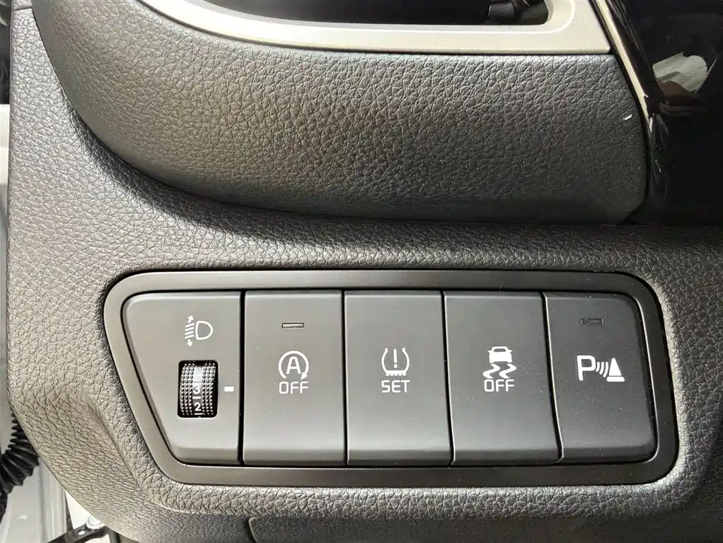 Kia Seltos 2026 Model 1.5L IVT Luxury Comfort Edition фото 9
