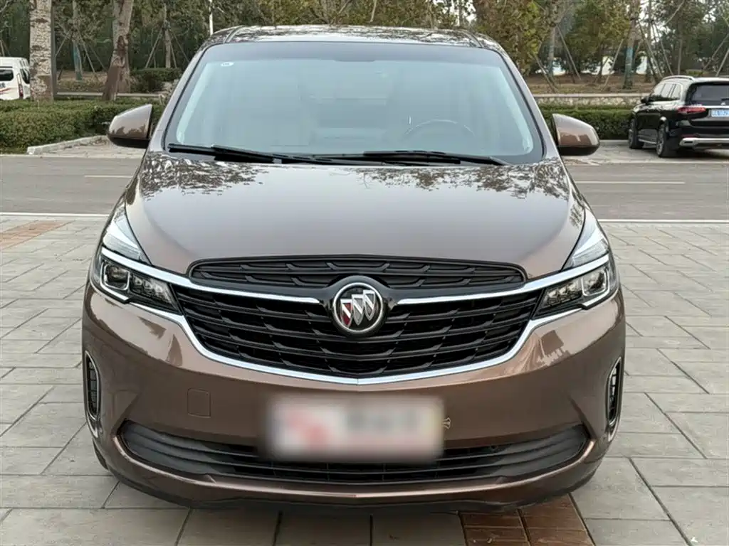 Buick GL8 2021 Land Business Class 652T Luxury фото 25