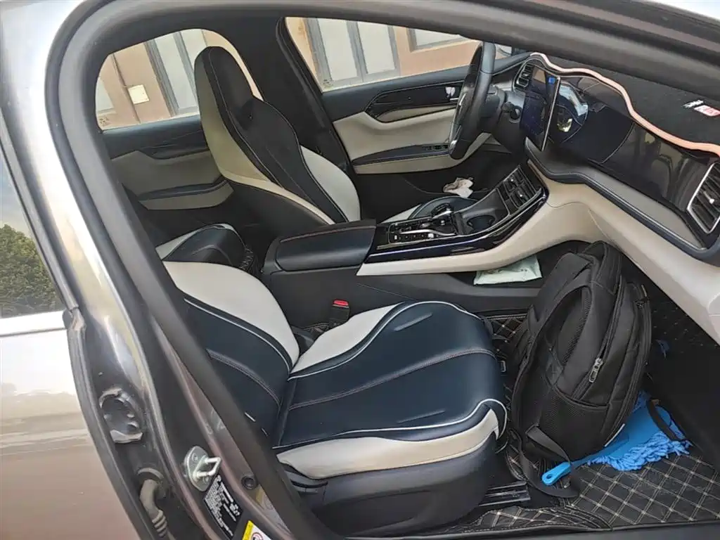 BYD Qin PLUS 2021 DM-i 55KM Flagship фото 25