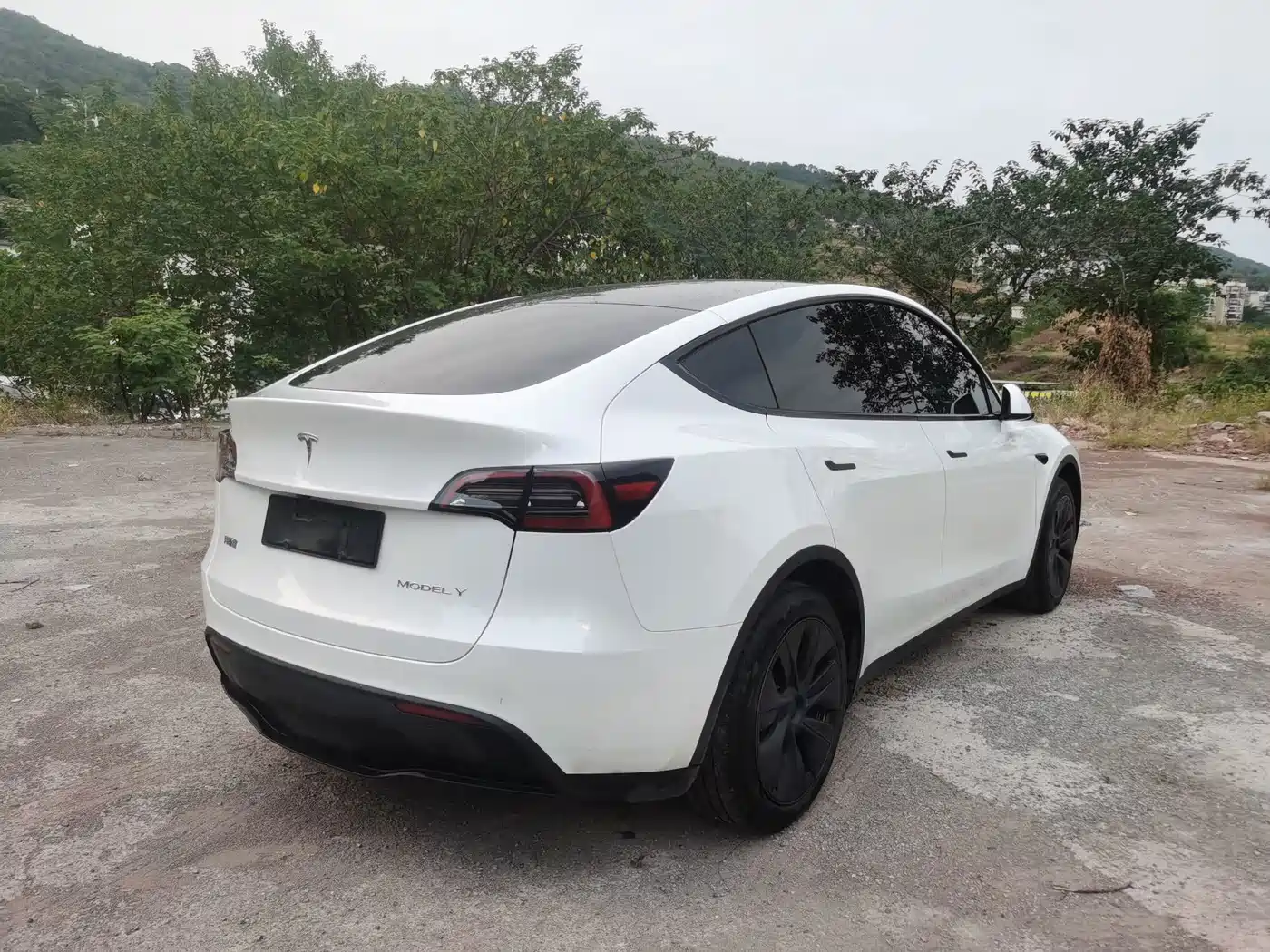 Фото 12 - Tesla Model Y