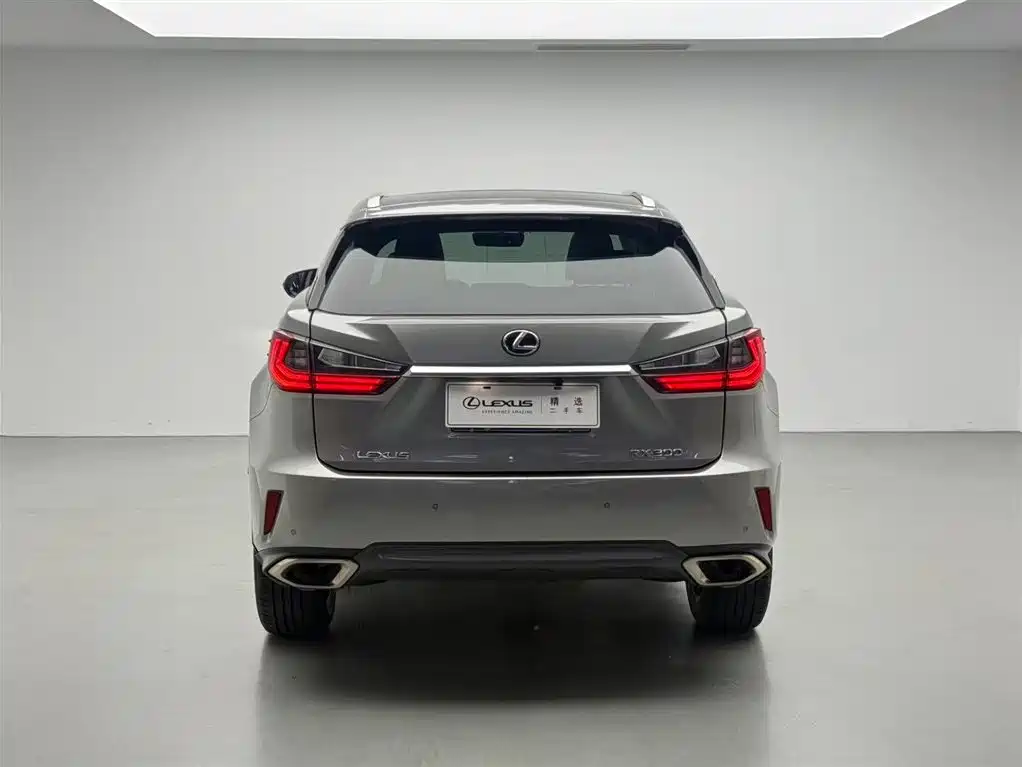 Lexus RX 2016 300 4WD Elegance Edition (China V) фото 18