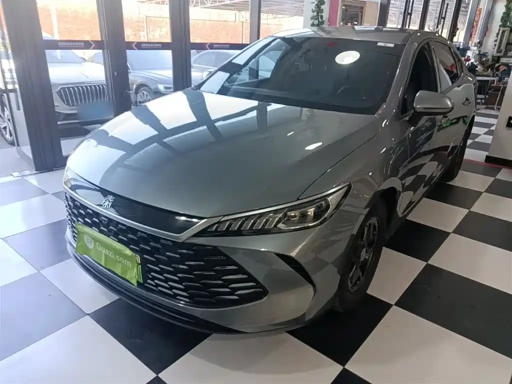 BYD Qin PLUS 2025 DM-i Smart Drive 55KM Leader