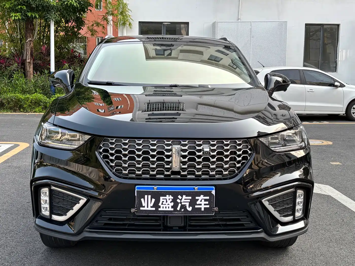 WEI PAI WEI BRAND VV5