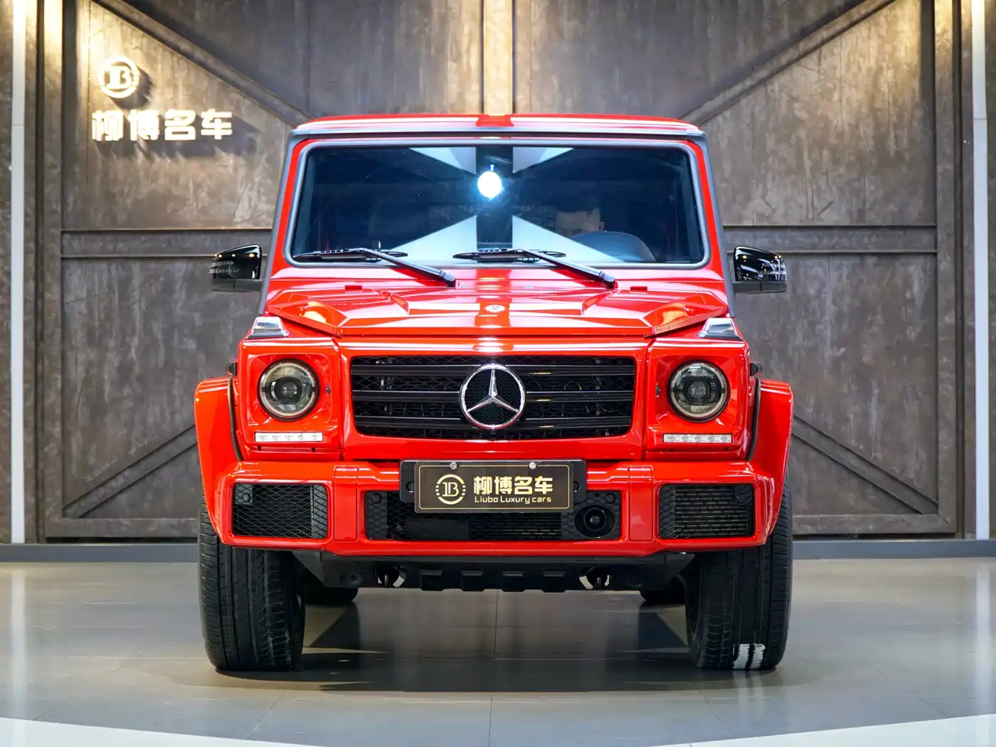 Mercedes-Benz G-Class 2017 G 500 фото 4