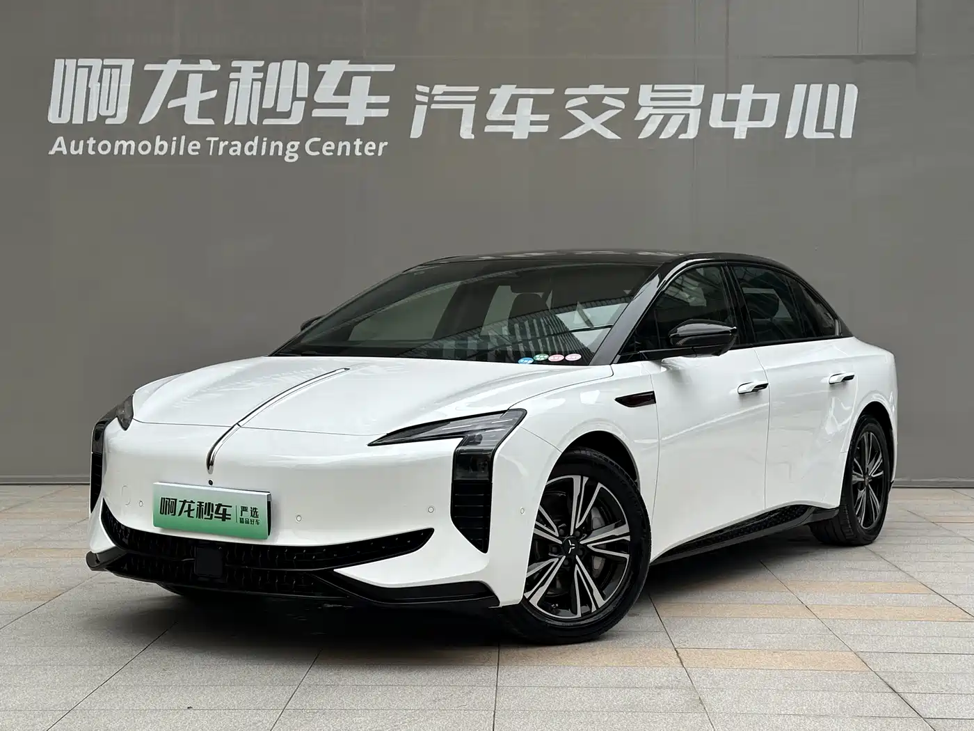 Hongqi EH7 2024 820 Pro Glory Edition фото 13