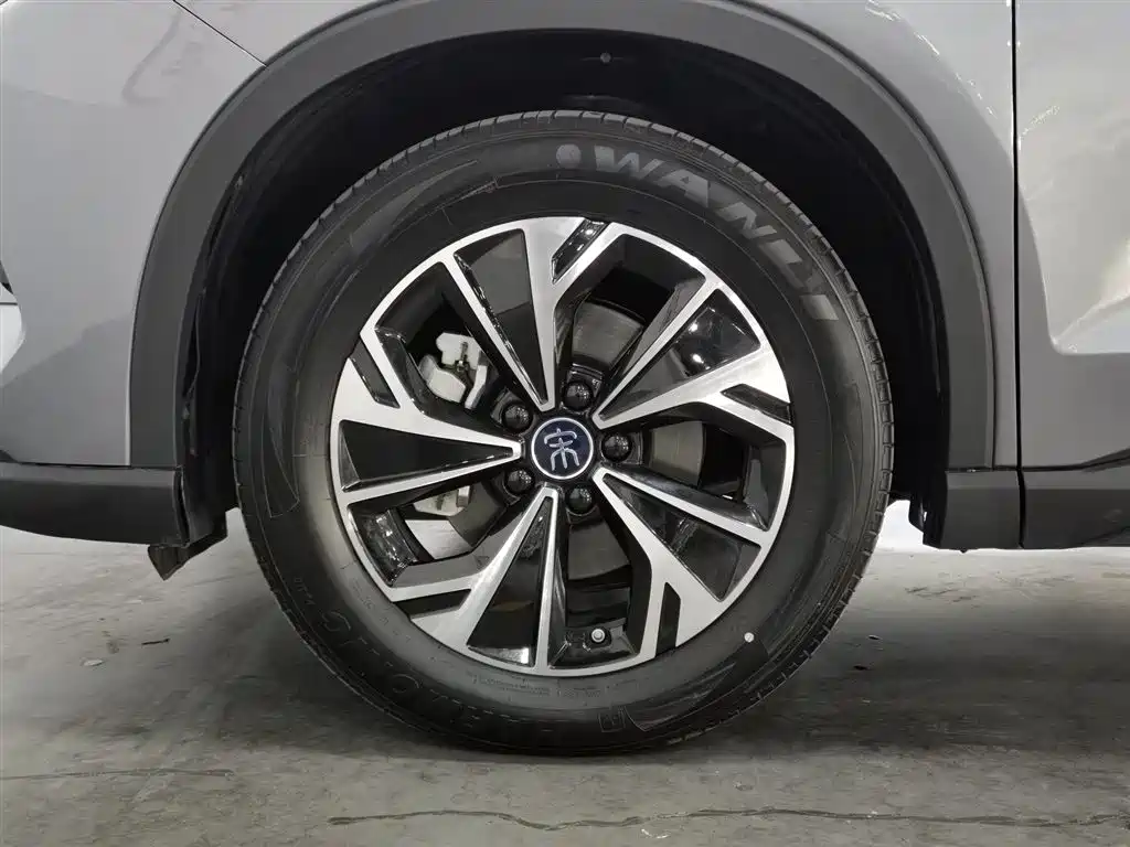 BYD SONGJIANG NEW ENERGY