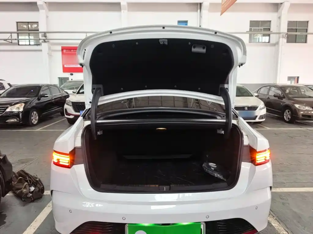 BYD Destroyer 05 2024 2024 Glory Edition DM-i 55KM Luxury