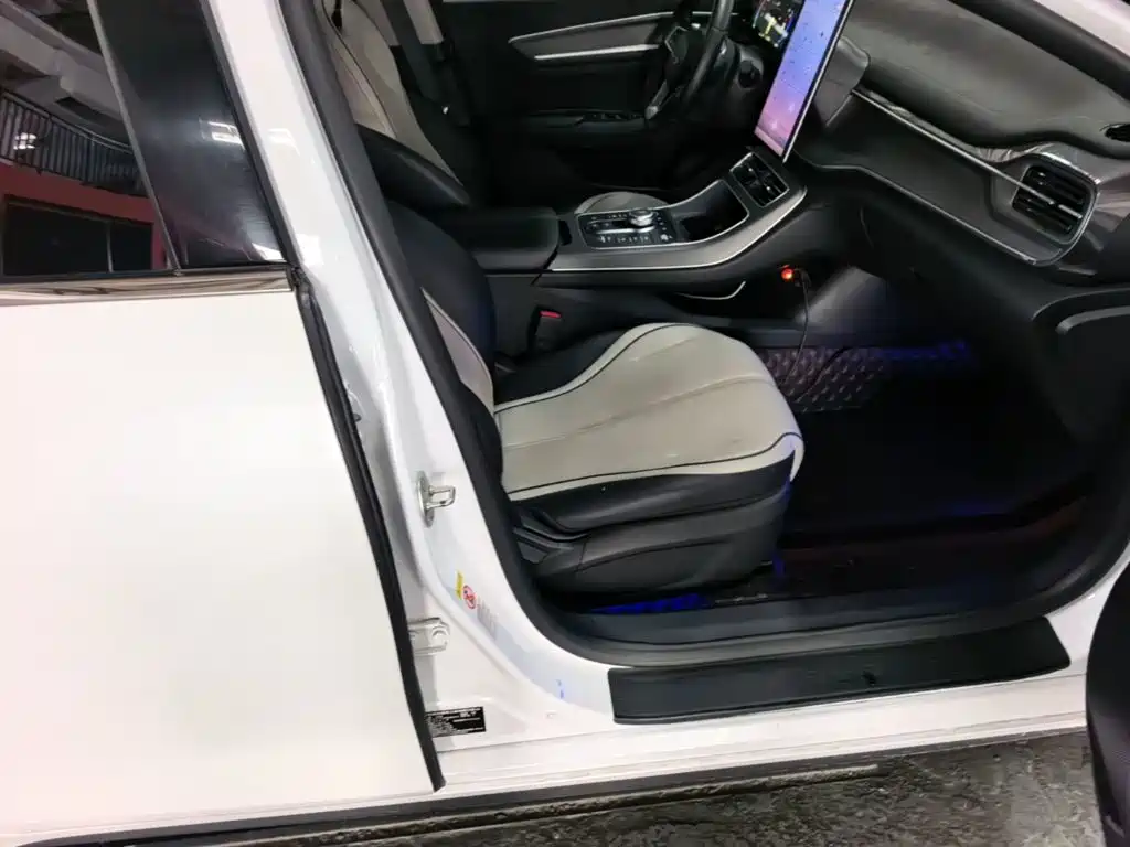 BYD Destroyer 05 2024 2024 Glory Edition DM-i 55KM Luxury