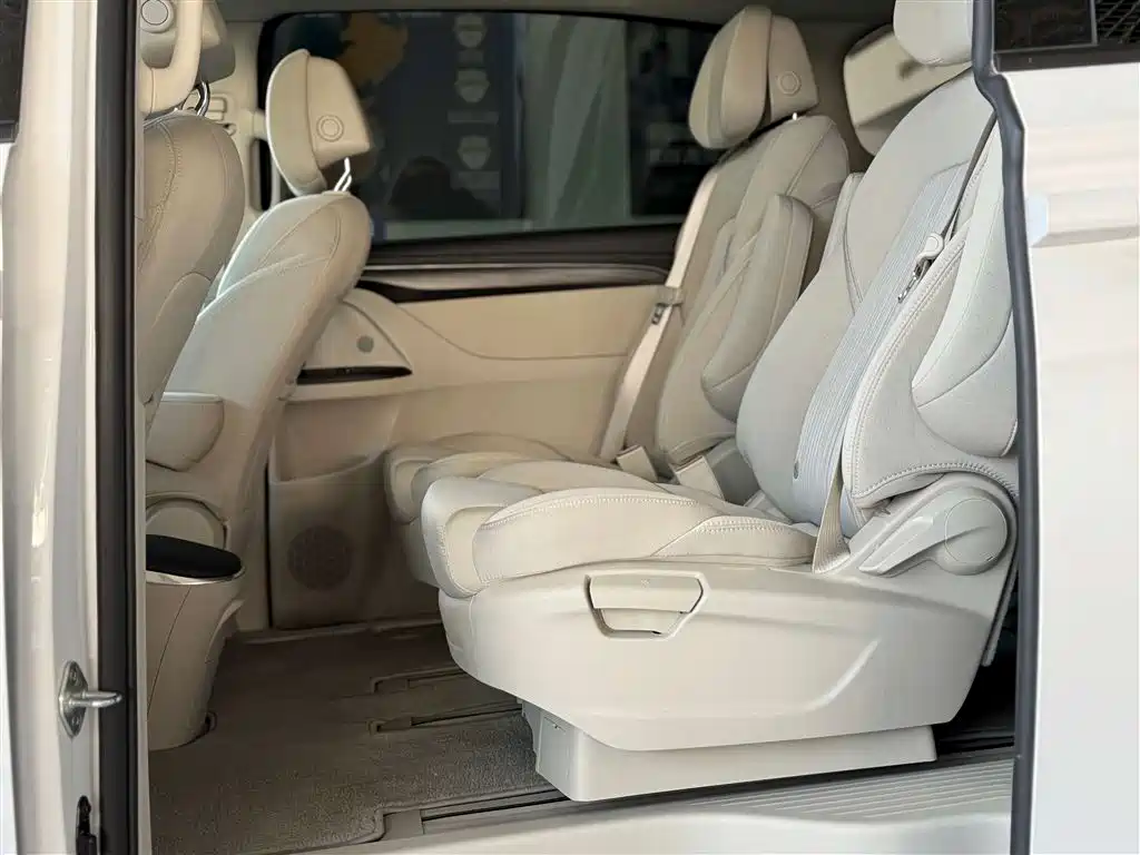 Buick GL8 2023 ES Landmaster Comfort фото 23