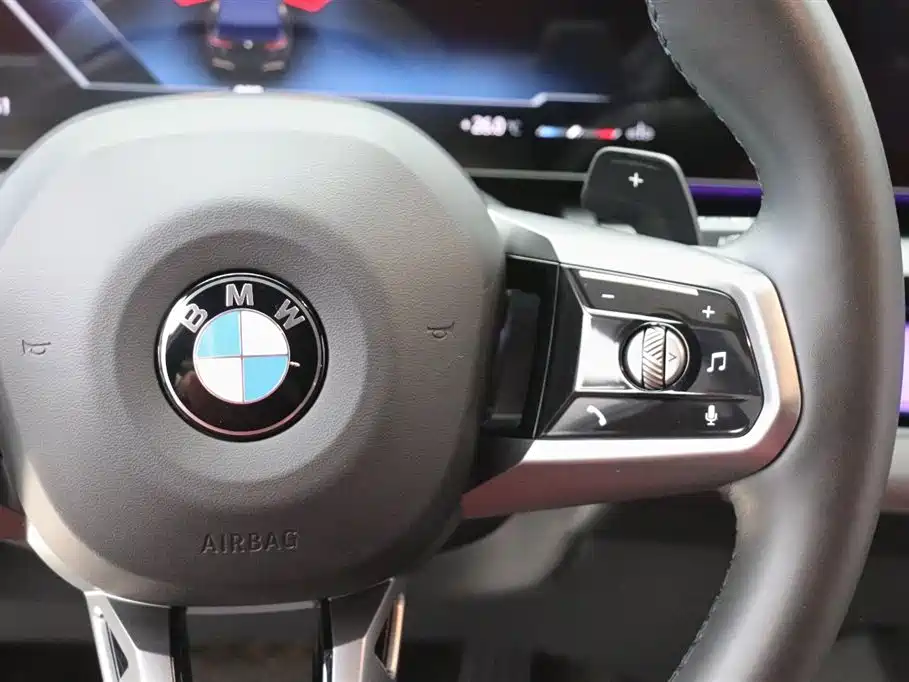 BMW 5 Series 2024 530Li Leading M Sport Package фото 19