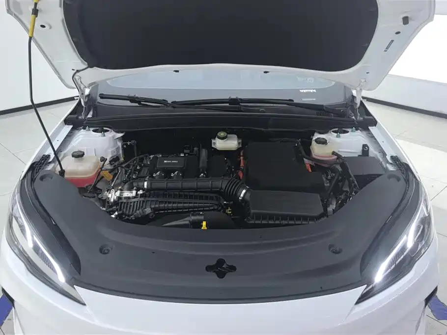 BYD Hai Bao 05 DM-i 2025 DM-i Smart Drive Edition 55KM Luxury фото 10