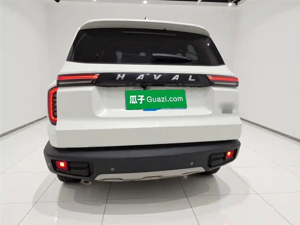 Haval Big Dog 2021 1.5T DCT 2WD Labrador Edition фото 6