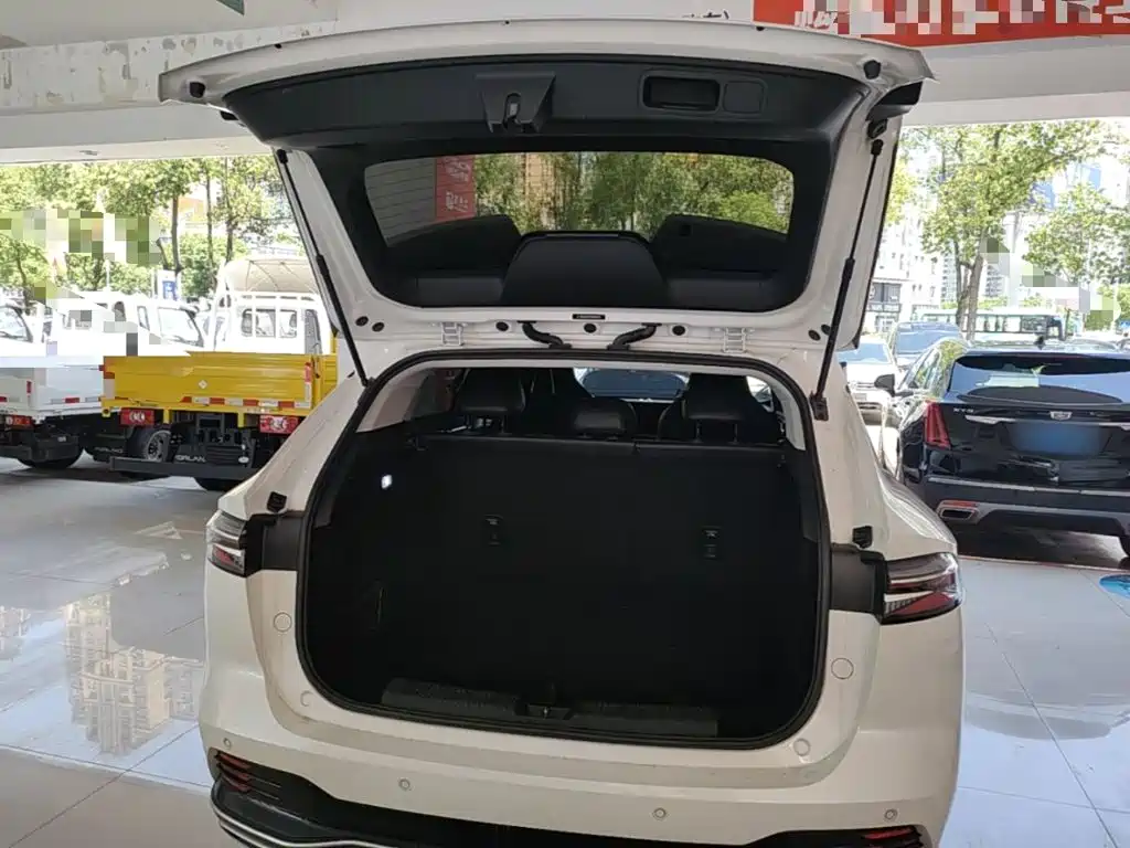 Фото 19 - Roewe RX5 New Energy