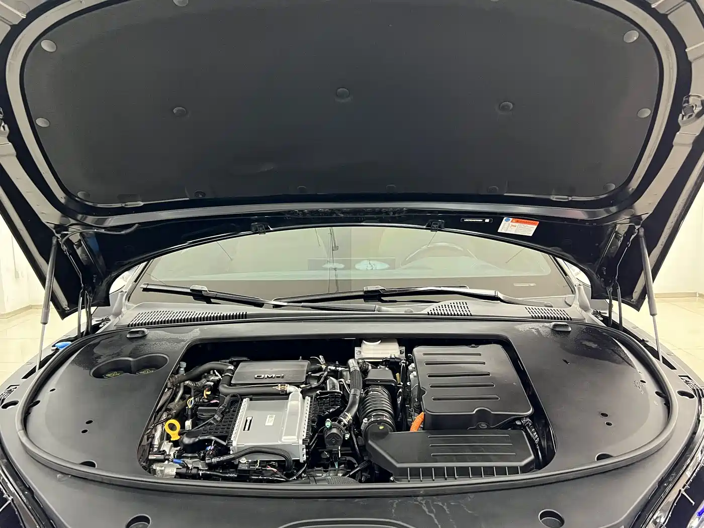 BYD Han 2025 2025 DM-i 125KM Elite