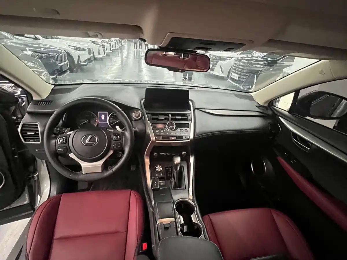 LEXUS NX