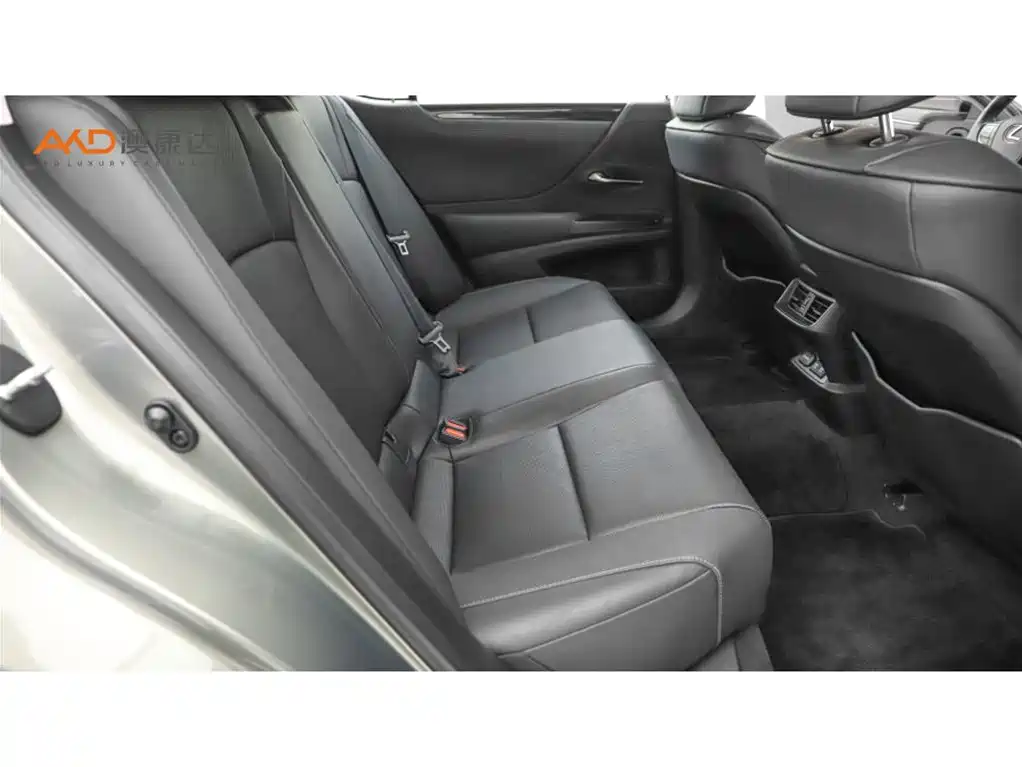 Lexus ES 2020 200 Luxury фото 8