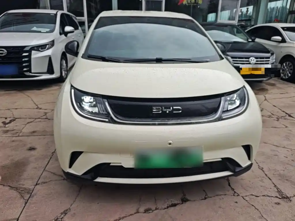 Фото 3 - BYD Dolphin